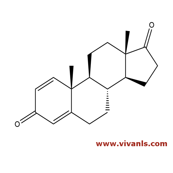 Standards-Boldione-1661855565.png