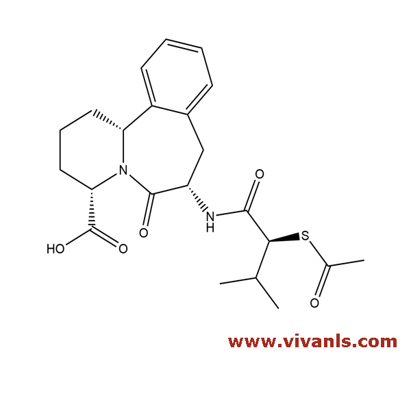 Standards-Ilepatril-1662017284.png