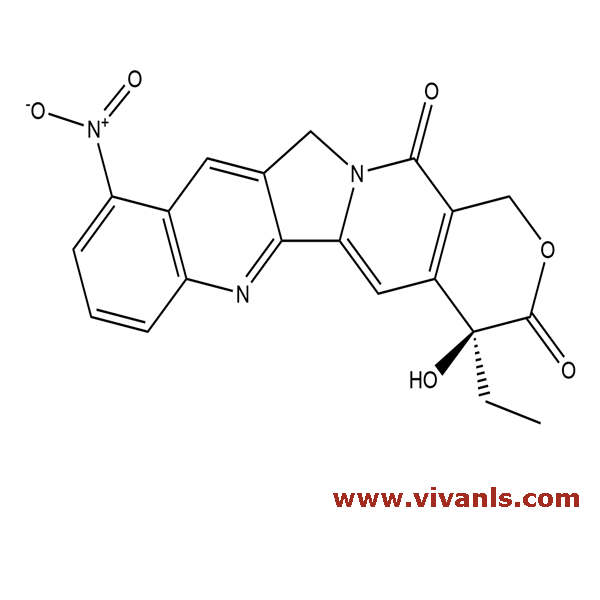 Standards-Rubitecan-1662026713.png