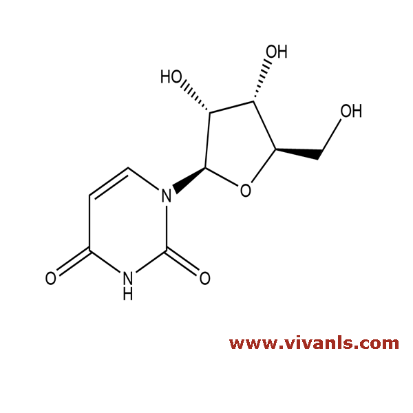 Standards-Uridine-1661848151.png